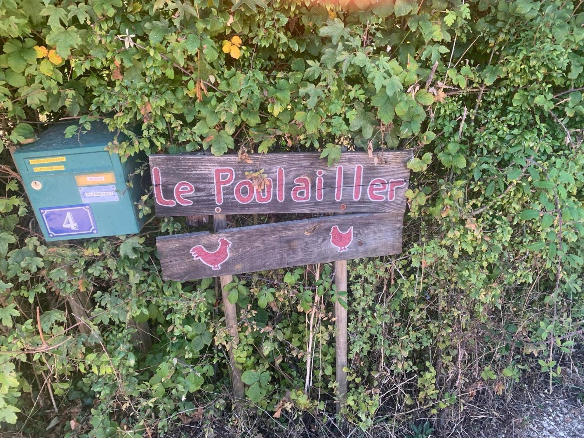 Logement Independant Le Poulailler Proche Guedelon 特雷尼 外观 照片